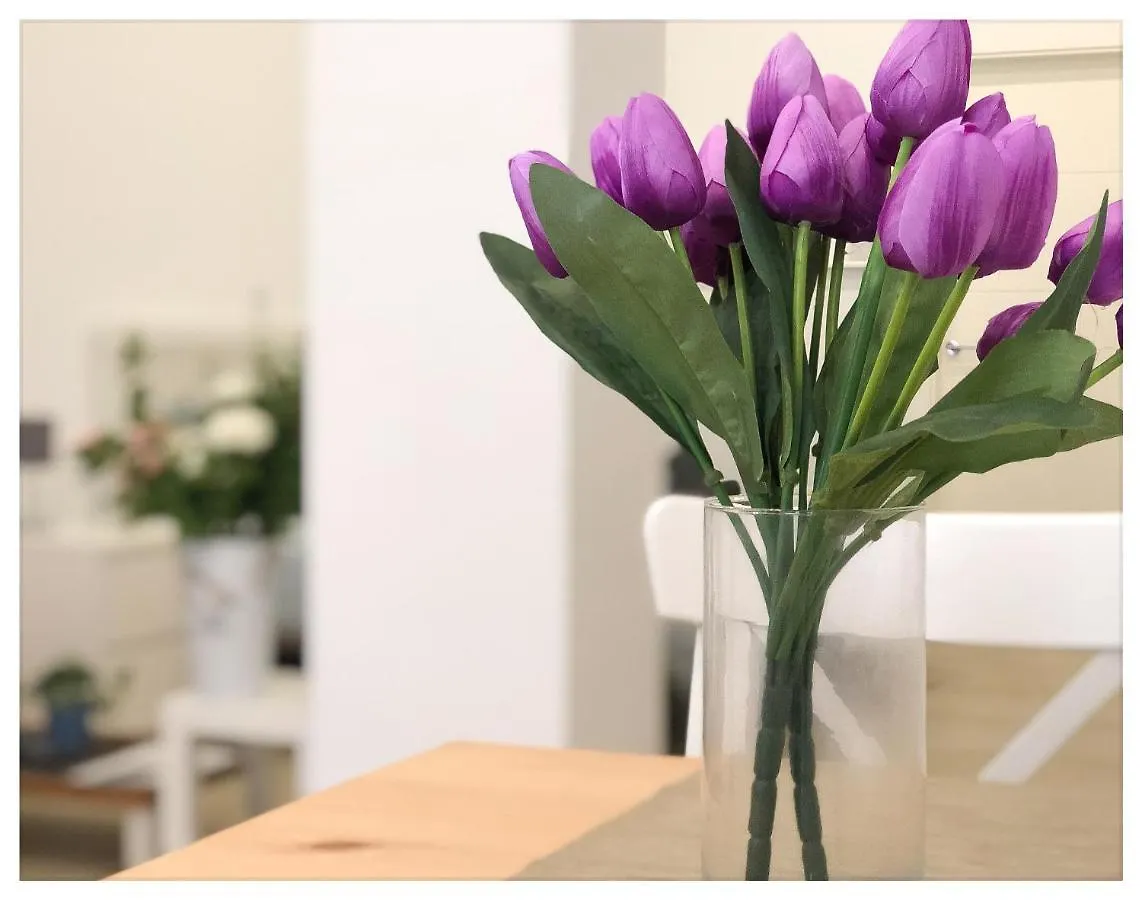 Estacion-Centro Vialia Apartman Málaga 0*,  Spanyolország