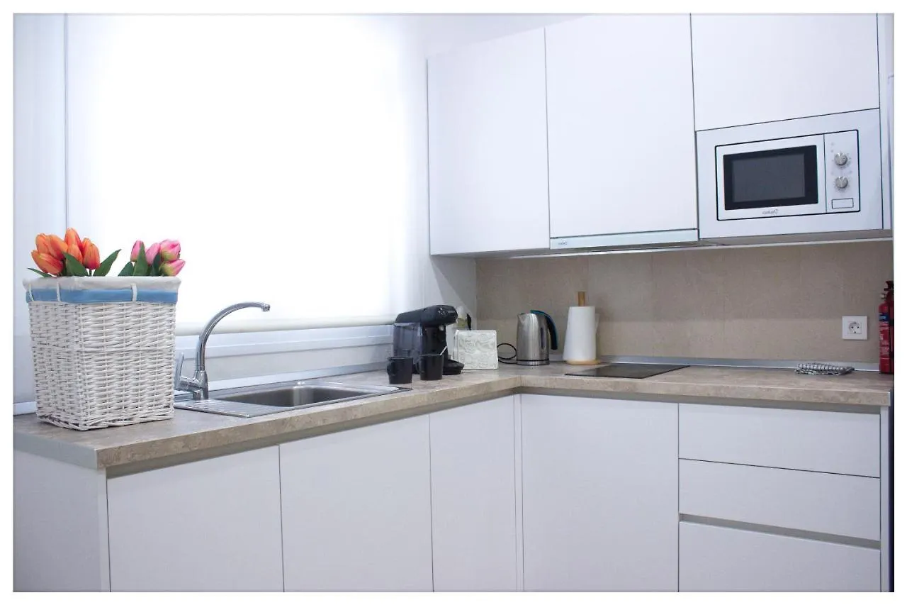 Estacion-Centro Vialia Apartment Malaga