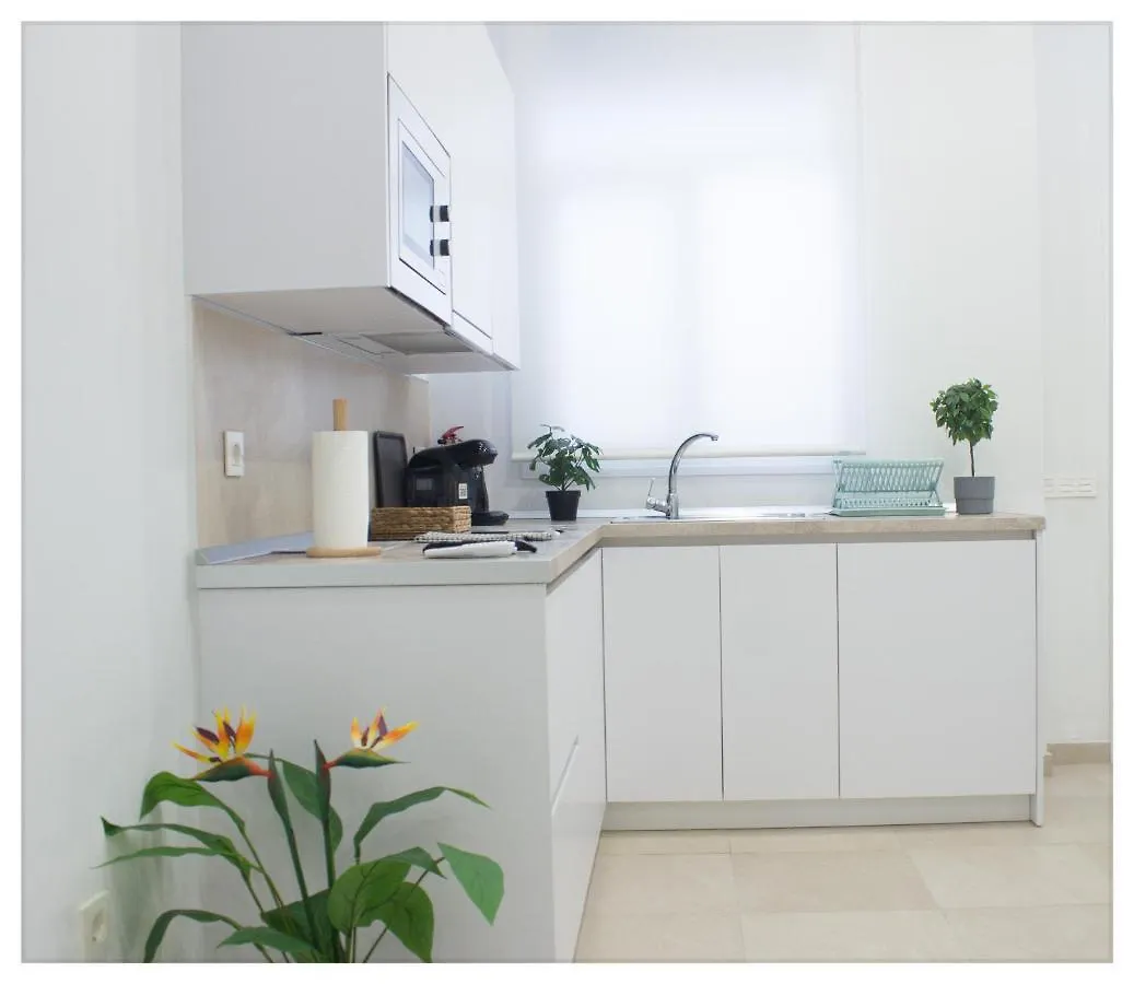 Estacion-Centro Vialia Apartment Malaga